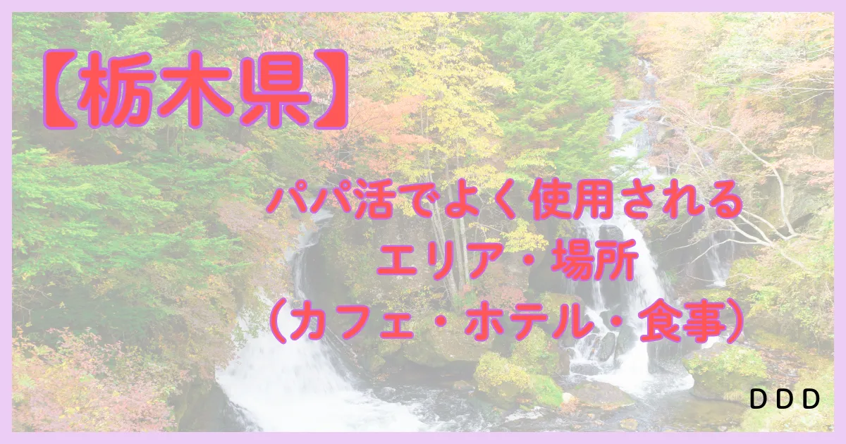 栃木　パパ活　アイキャッチ